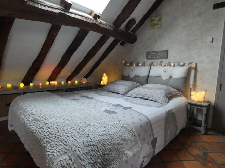 Maison De Charme Pres De Beauval Saint-Cyran-du-Jambot 외부 사진